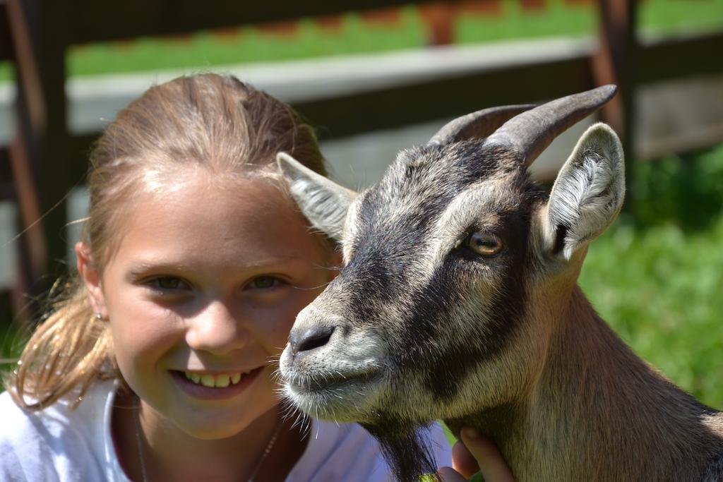 Feriendorf Ponyhof Fusch an der Grossglocknerstrasse Eksteriør billede